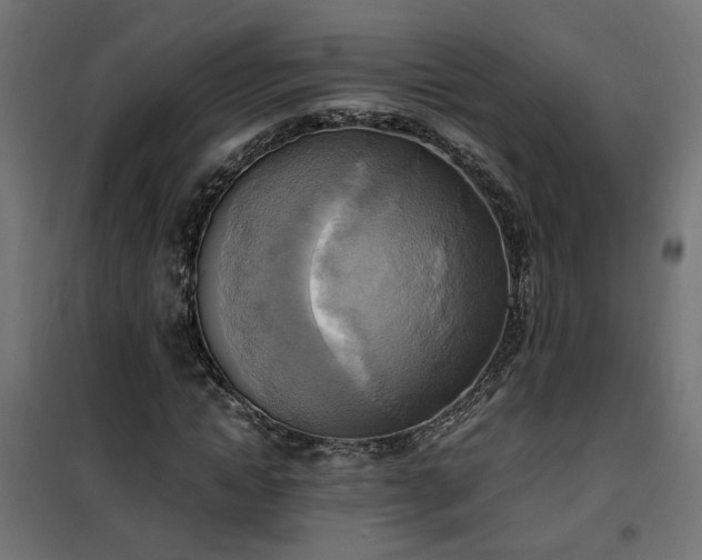 X0000100480822200806201627