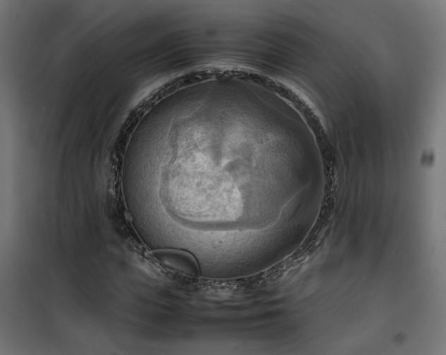 X0000100480823200806201627