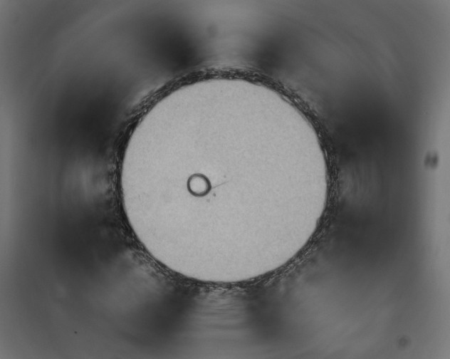 X0000100480824200806201627