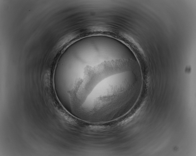 X0000100480825200806201627