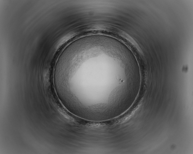 X0000100480826200806201627