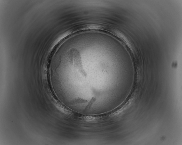 X0000100480827200806201628