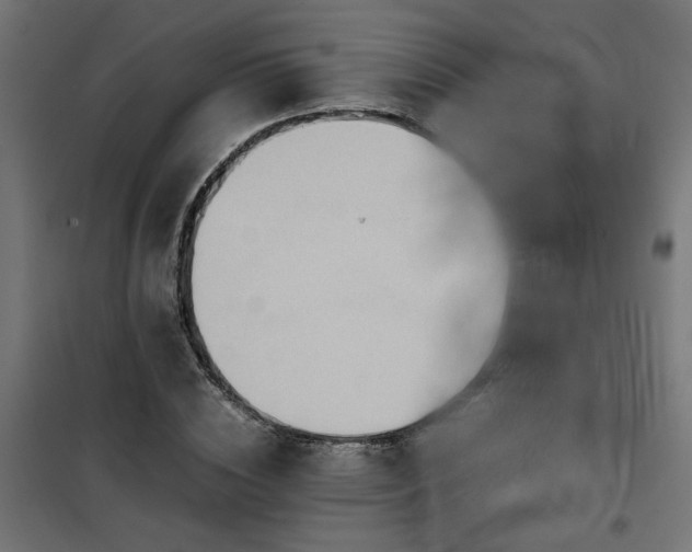 X0000100480828200806201628