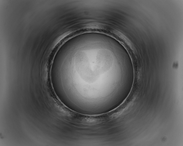 X0000100480829200806201628