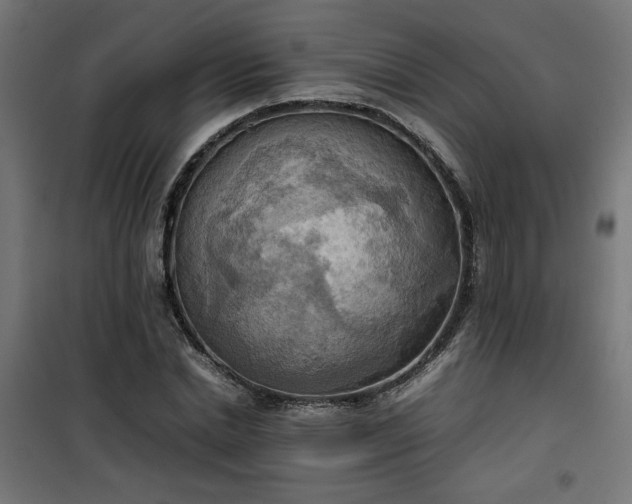 X0000100480830200806201628