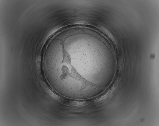 X0000100480831200806201628