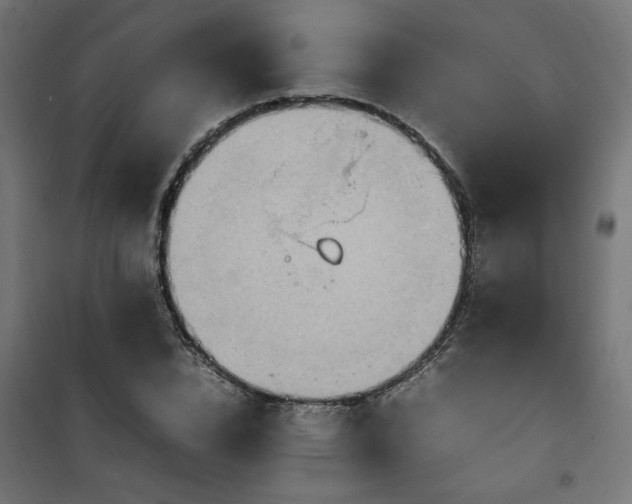 X0000100480832200806201628