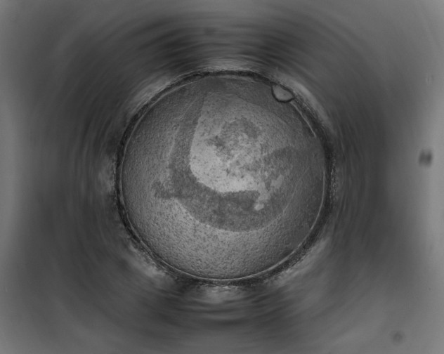 X0000100480833200806201628