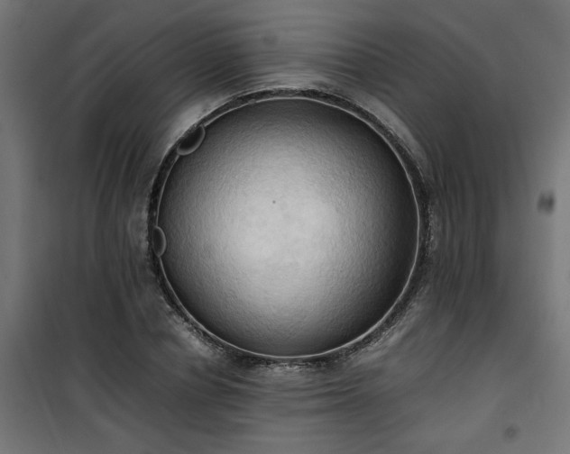 X0000100480834200806201628