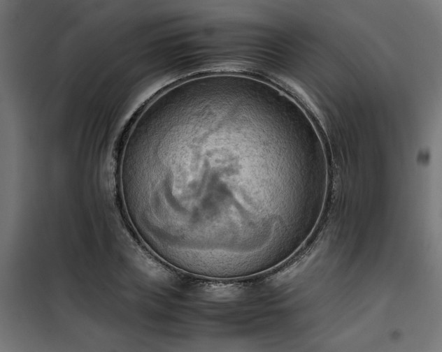 X0000100480835200806201628