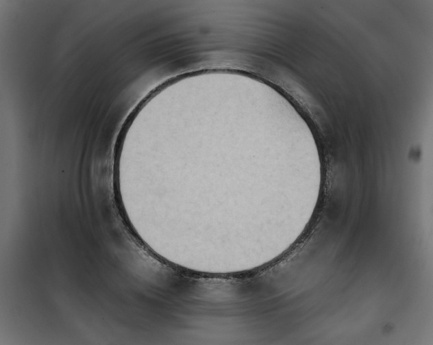 X0000100480836200806201628