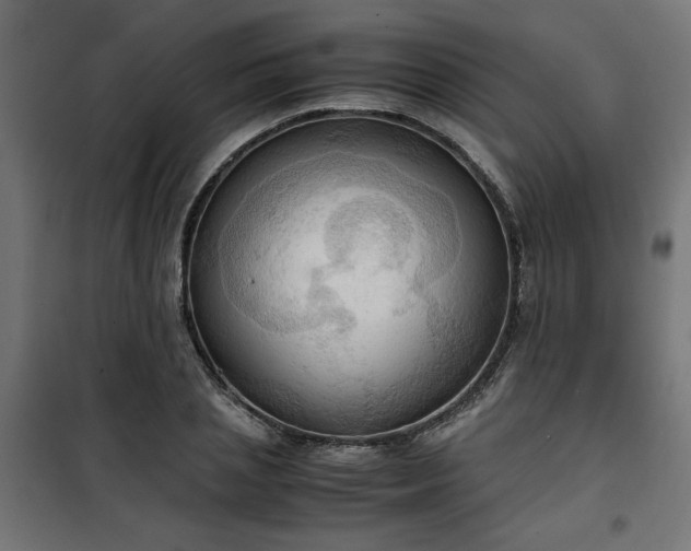 X0000100480837200806201628