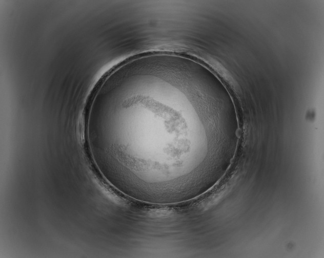 X0000100480838200806201628