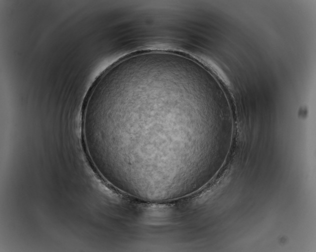X0000100480839200806201628