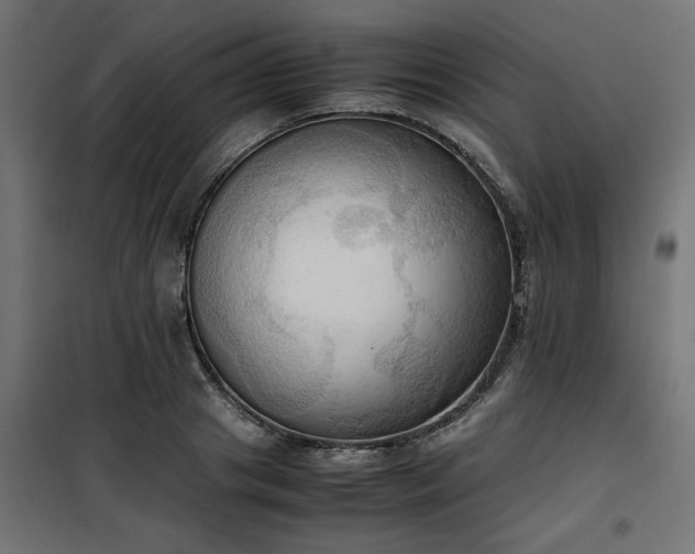 X0000100480841200806201628