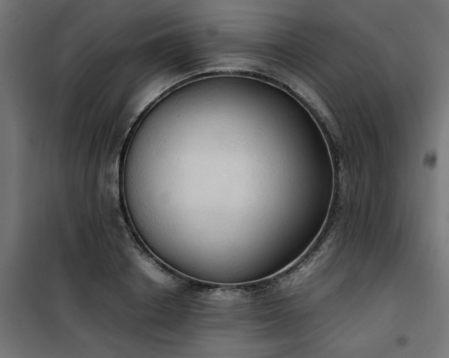 X0000100480842200806201628