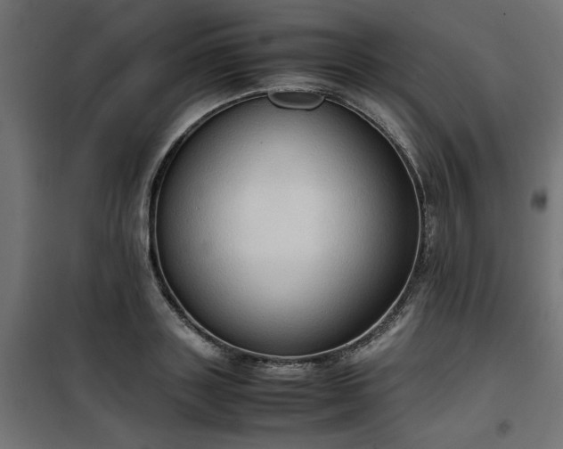 X0000100480843200806201628