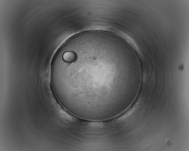 X0000100480844200806201628