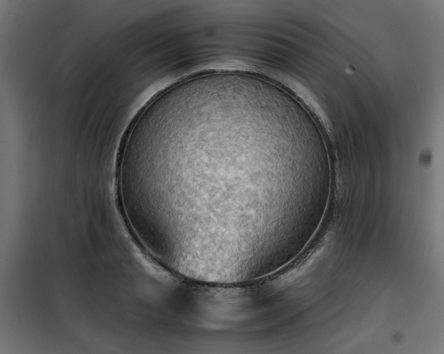 X0000100480845200806201628