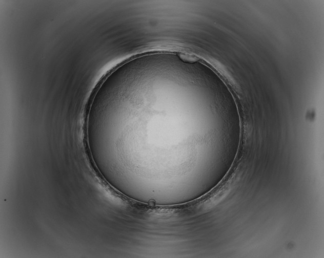 X0000100480846200806201628