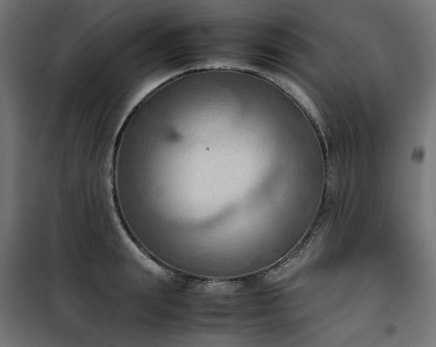 X0000100480847200806201628