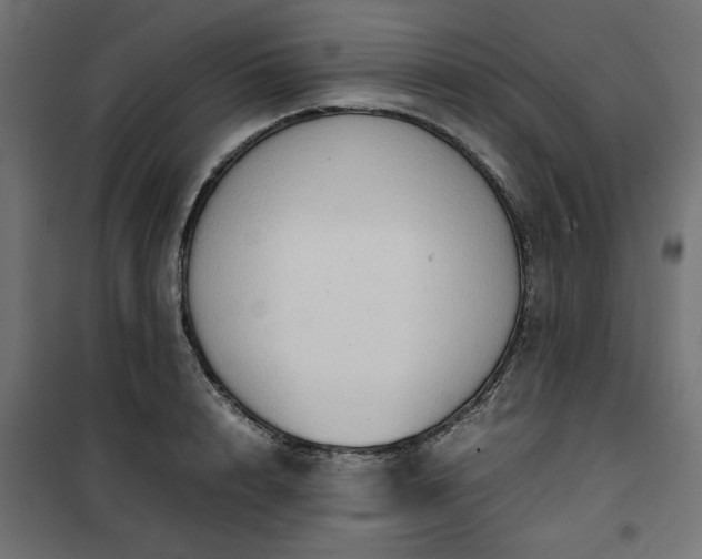 X0000100480848200806201628