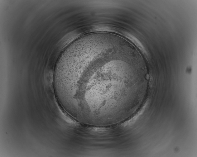 X0000100480849200806201628