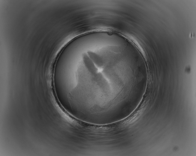 X0000100480851200806201628