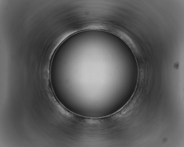 X0000100480852200806201628