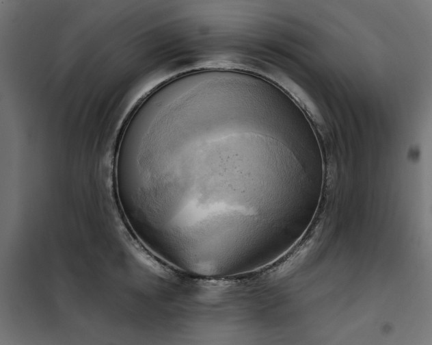 X0000100480854200806201628