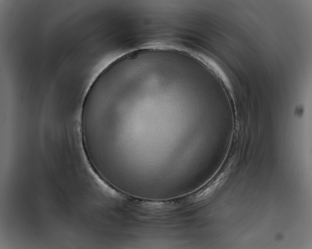 X0000100480855200806201628
