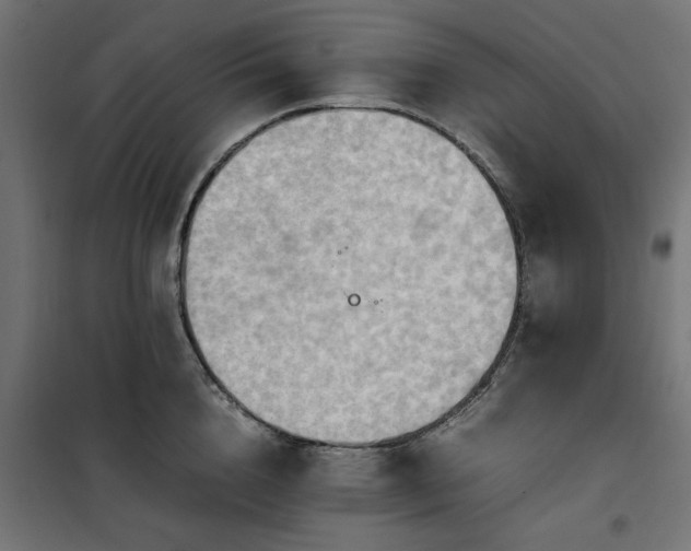 X0000100480856200806201628