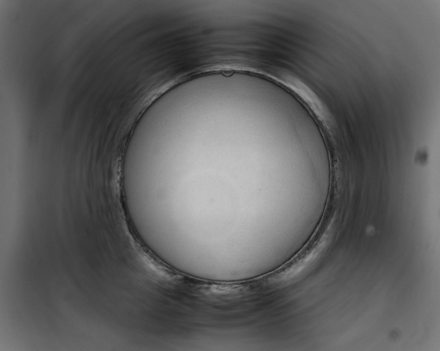 X0000100480857200806201628