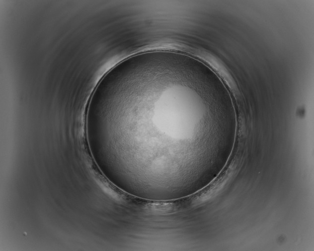 X0000100480858200806201628