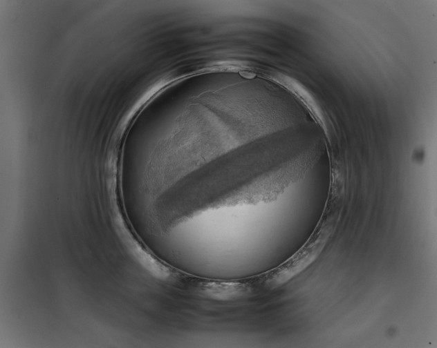 X0000100480859200806201628