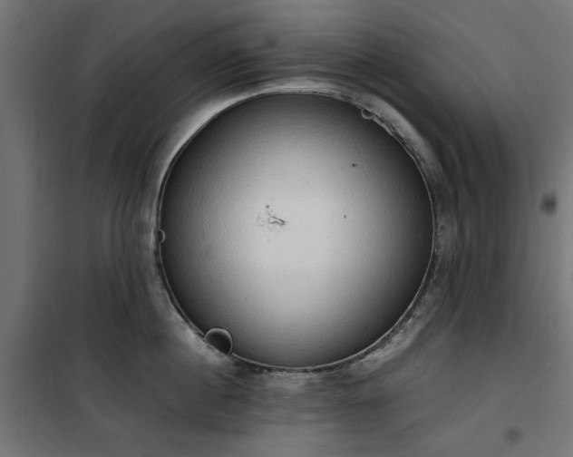 X0000100480860200806201628