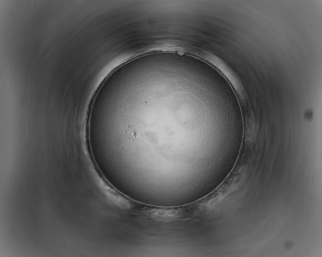 X0000100480861200806201628
