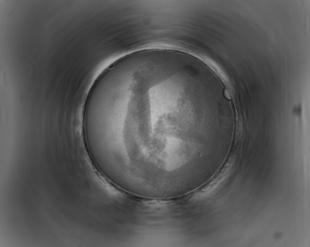 X0000100480862200806201628