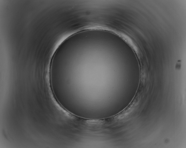 X0000100480863200806201628