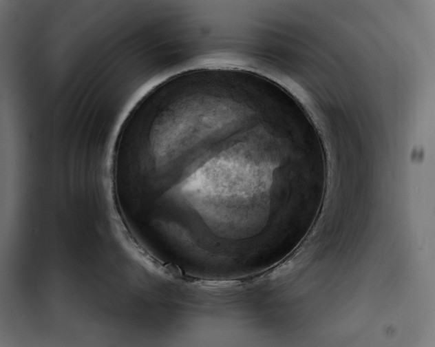 X0000100480864200806201628