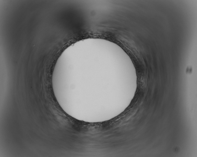 X0000100480865200806201627