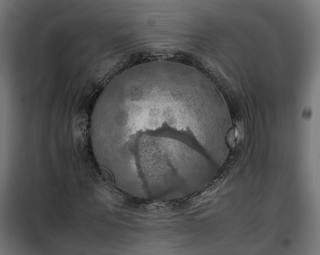 X0000100480867200806201627