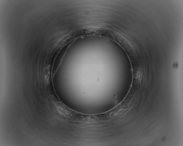 X0000100480868200806201627