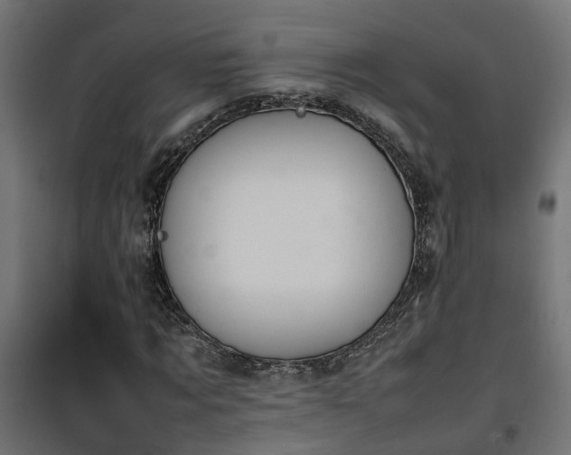 X0000100480869200806201627