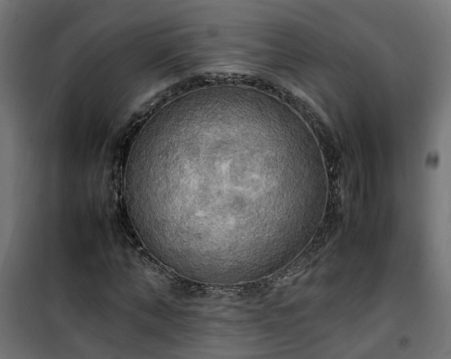 X0000100480870200806201627