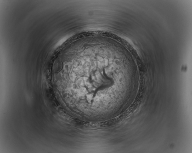 X0000100480871200806201627
