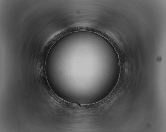 X0000100480872200806201627