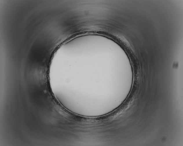 X0000100480873200806201627