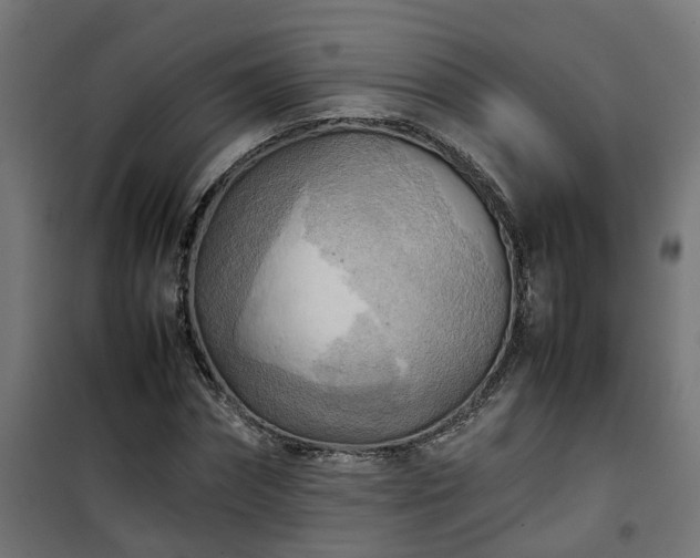 X0000100480874200806201627