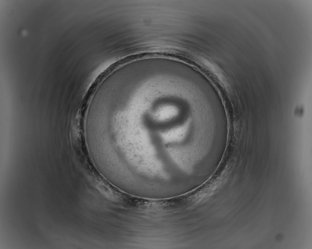X0000100480875200806201627